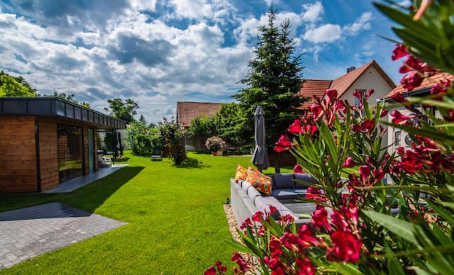 Voelgy Vendeghaz Hotel Etyek Exterior photo